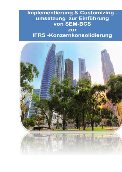 'Implementierung & Customizingumsetzung bei SAP SEM-BCS zur Konzernkonsolidierungs gemäss IFRS'-Cover
