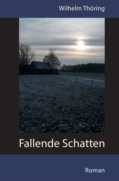 'Fallende Schatten  Roman'-Cover
