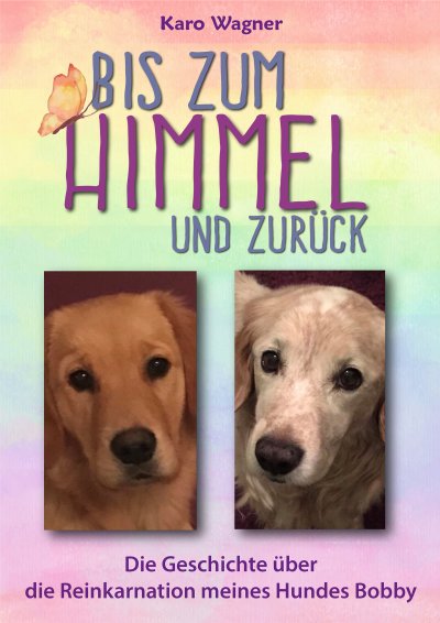 'Cover von Bis zum Himmel und zurück'-Cover