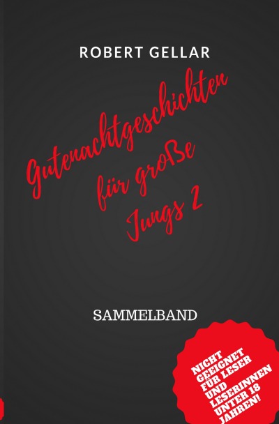 'Cover von Gutenachtgeschichten für große Jungs 2'-Cover