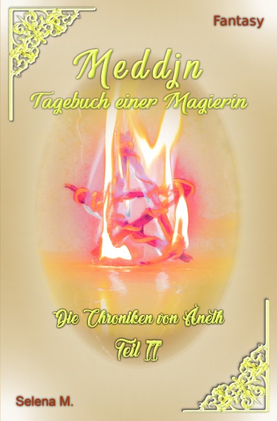 'Cover von Meddjn – Tagebuch einer Magierin'-Cover