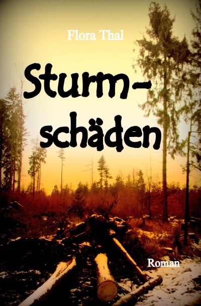 'Sturmschäden'-Cover
