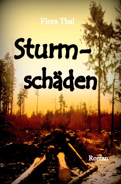 'Cover von Sturmschäden'-Cover