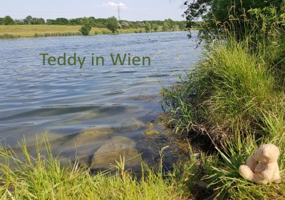 'Cover von Teddy in Wien'-Cover