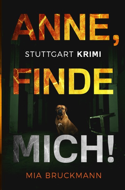 'Cover von Anne, finde mich!'-Cover