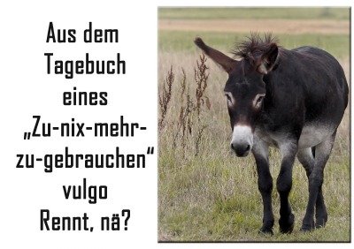'Cover von Aus dem Tagebuch eines…'-Cover