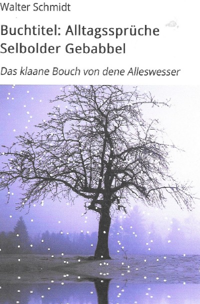 'Cover von Alltagssprüche Selbolder Gebabbel'-Cover