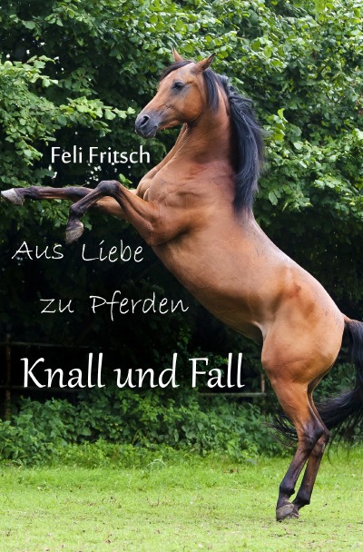 'Aus Liebe zu Pferden – Knall und Fall'-Cover