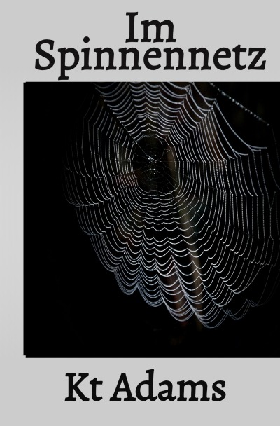 'Im Spinnennetz'-Cover
