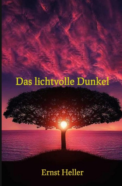 'Cover von Das lichtvolle Dunkel'-Cover