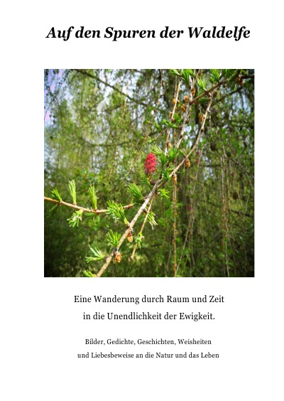 'Cover von Auf den Spuren der Waldelfe'-Cover