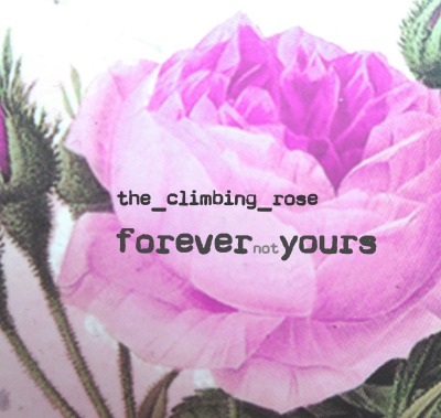 'Cover von forevernotyours'-Cover