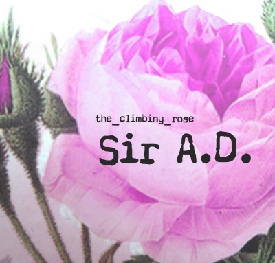 'Sir A.D.'-Cover