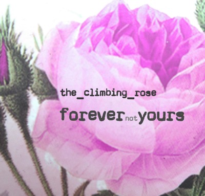 'Cover von forevernotyours'-Cover