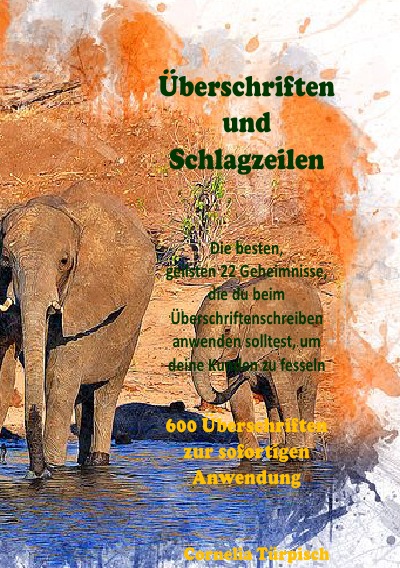 'Cover von Überschriften und Schlagzeilen & 600 Überschriften für Ihr Business zum sofortigem anwenden'-Cover
