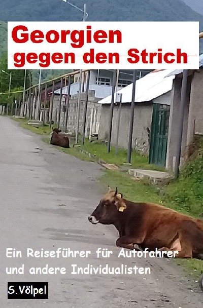 'Georgien gegen den Strich'-Cover
