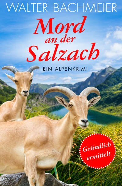 'Cover von Mord an der Salzach'-Cover