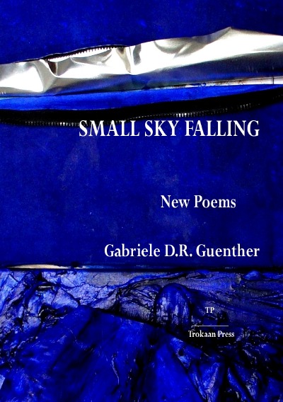 'Cover von Small Sky Falling'-Cover