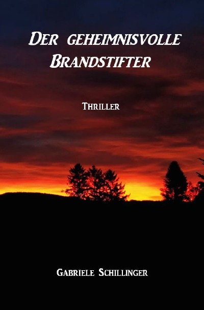 'Cover von Der geheimnisvolle Brandstifter'-Cover