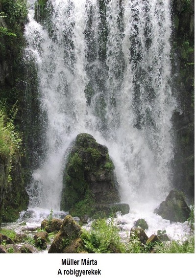 'Cover von A robigyerekek'-Cover