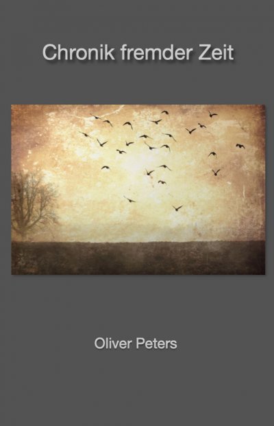 'Cover von Chronik fremder Zeit'-Cover