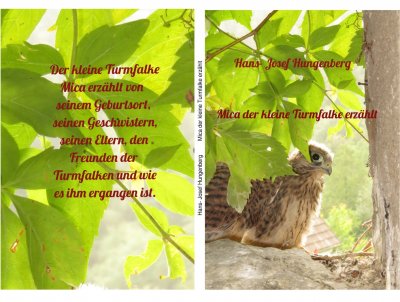 'Cover von Mica der kleine Turmfalke erzählt'-Cover