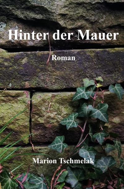 'Hinter der Mauer'-Cover