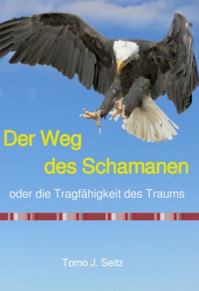 'Der Weg des Schamanen oder die Tragfähigkeit des Traums'-Cover