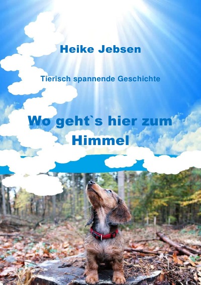 'Wo geht`s hier zum Himmel'-Cover