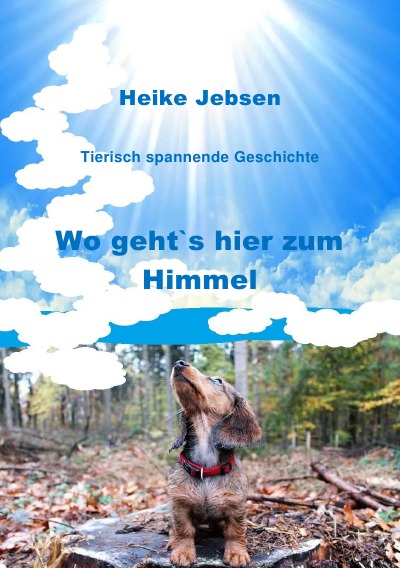 'Cover von Wo geht`s hier zum Himmel'-Cover