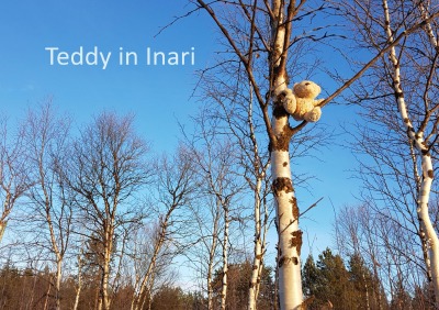 'Teddy in Inari'-Cover