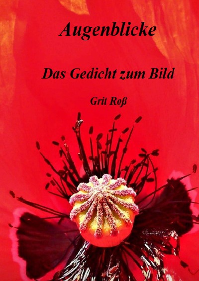 'Cover von Augenblicke – Das Gedicht zum Bild'-Cover