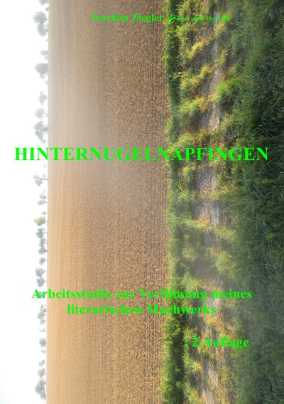 'Hinternugelnapfingen  Arbeitsstudie zur Verfilmung meines  literarischen Machwerks; 2.Auflage'-Cover
