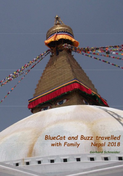 'BlueCat and Buzz travelled'-Cover