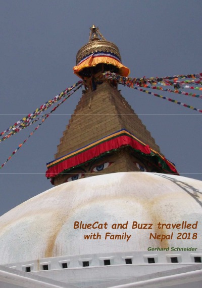 'Cover von BlueCat and Buzz travelled'-Cover