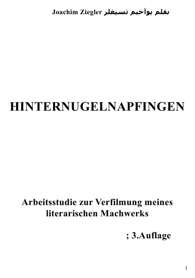 'Hinternugelnapfingen  Arbeitsstudie zur Verfilmung meines  literarischen Machwerks; 3.Auflage'-Cover