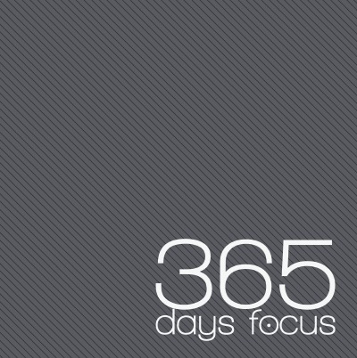 '365 days focus 2019'-Cover