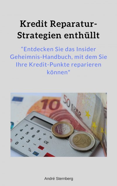 'Cover von Kredit Reparatur-Strategien enthüllt'-Cover