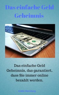 Das Geld Geheimnis - Das einfache Geld-Geheimnis, das garantiert, dass Sie immer online bezahlt werden - Andre Sternberg