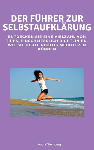 'Cover von Der Führer zur Selbstaufklärung'-Cover
