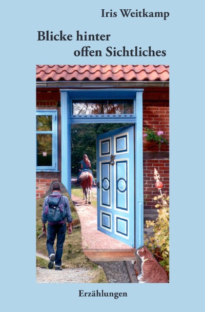 'Cover von Blicke hinter offen Sichtliches'-Cover