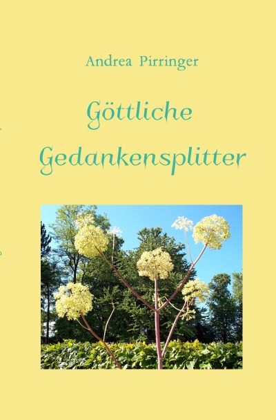 'Cover von Göttliche Gedankensplitter'-Cover