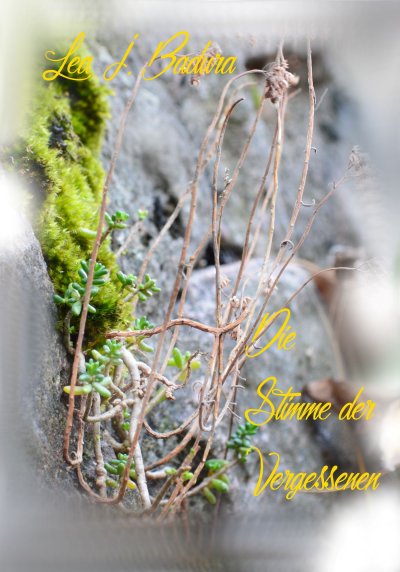 'Cover von Die Stimme der Vergessenen'-Cover