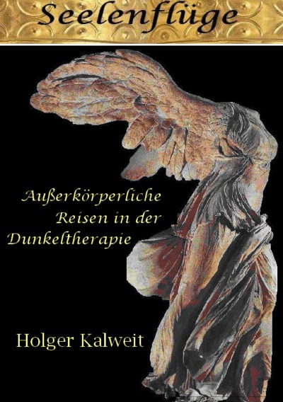 'Cover von Seelenflüge'-Cover