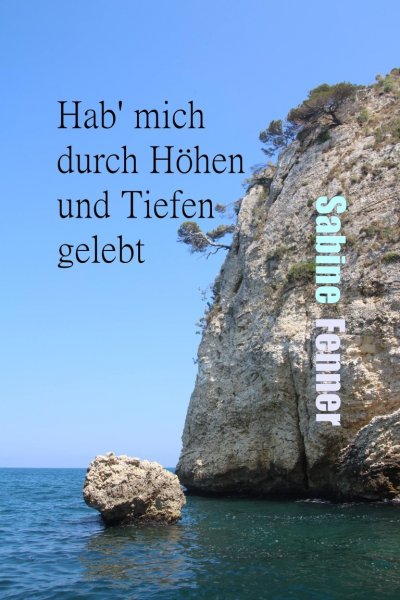 'Cover von Hab‘ mich durch Höhen und Tiefen gelebt'-Cover