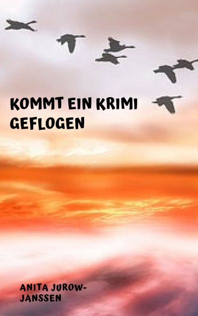 'Cover von Kommt ein Krimi geflogen'-Cover