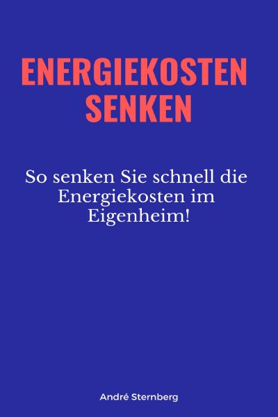 'Cover von Energiekosten senkenEnergiekosten senken'-Cover