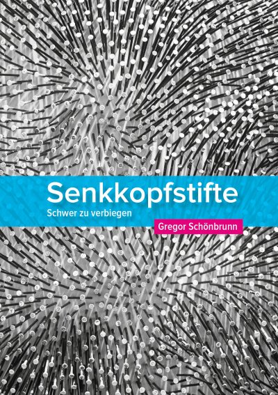 'Senkkopfstifte'-Cover