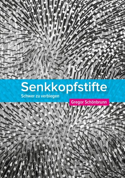 'Cover von Senkkopfstifte'-Cover