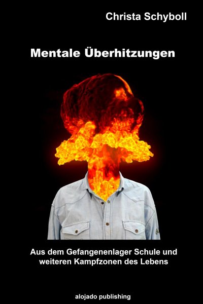'Cover von Mentale Überhitzungen'-Cover